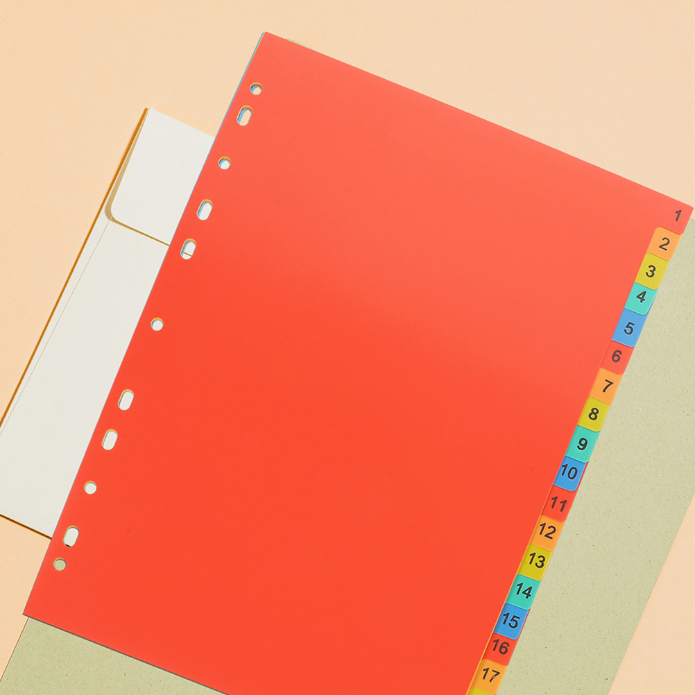 2Sets Plastic Index Dividers L - Tab Divider A4 评论和价格