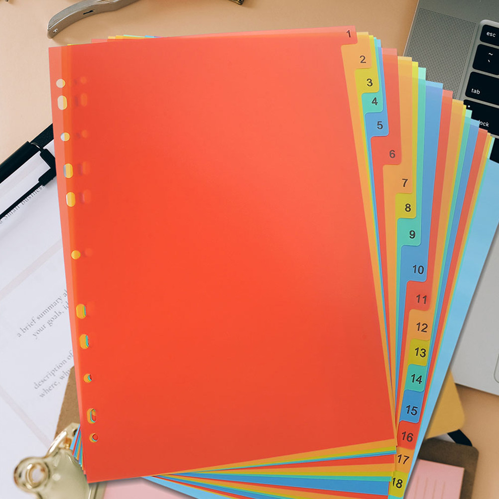 2 sets File Organizer Document - Tab Divider A4 评论和价格