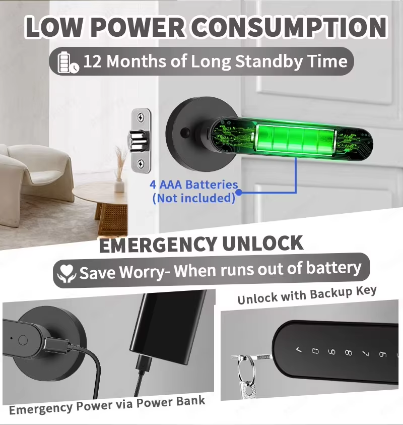 TTLock Smart Digital Door Lock - Letter Opener Brass 评论和价格